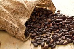 Cocoa beans regarding the Hershey class action lawsuit 