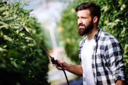 Man spraying herbicides regarding information on the ingredients in Roundup