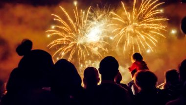 People watching fireworks regarding the consumer fireworks ban