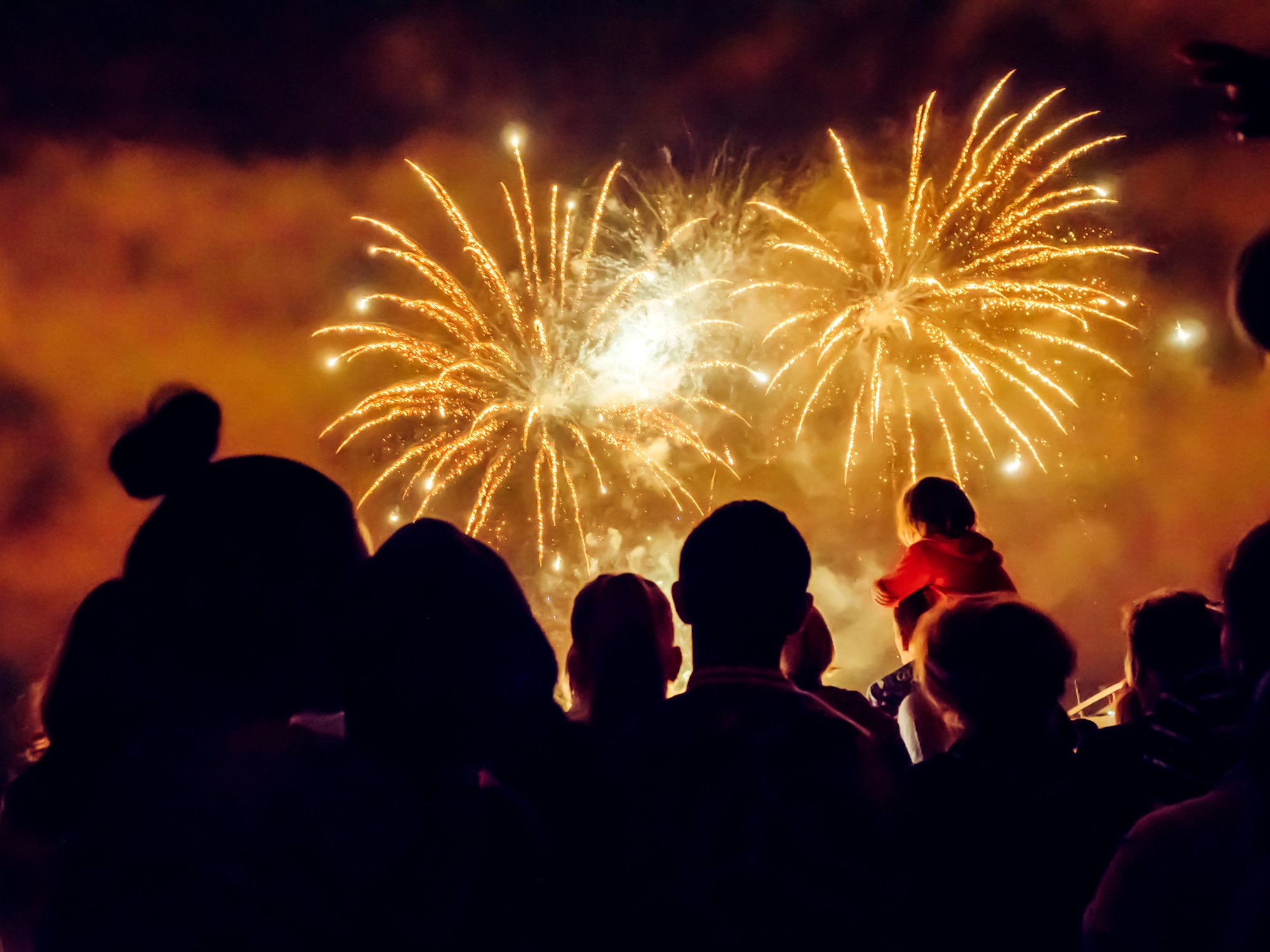 People watching fireworks regarding the consumer fireworks ban