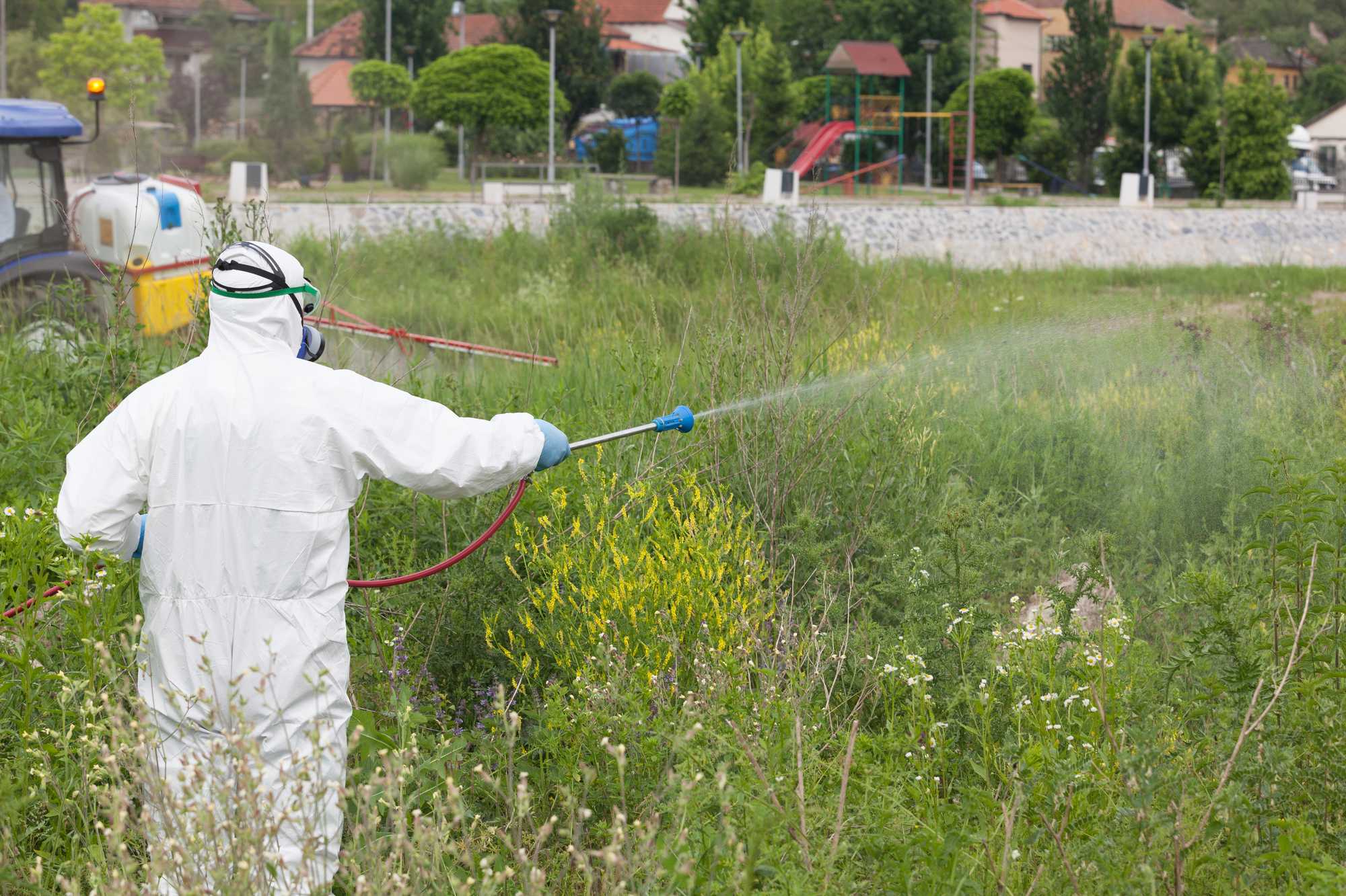 Person using Roundup regarding the Roundup cancer risks class action lawsuit