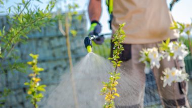 Person spraying glyphosate in roundup on plants regarding information on it's ingredients