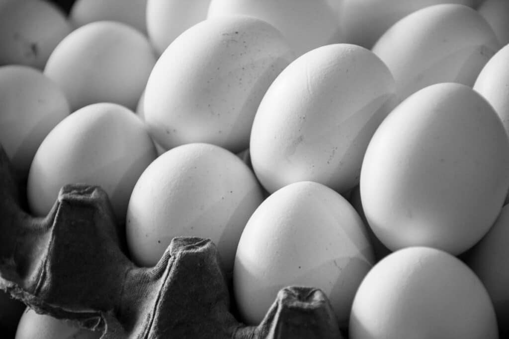 Close up of eggs, representing the egg recall.