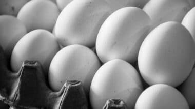 Close up of eggs, representing the egg recall.