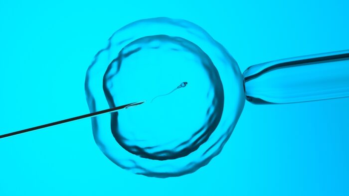 Close up of egg insemination - 
Barwin - wrongful insemination