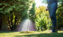 Person spraying "weed" regarding the roundup cancer risks class action lawsuit